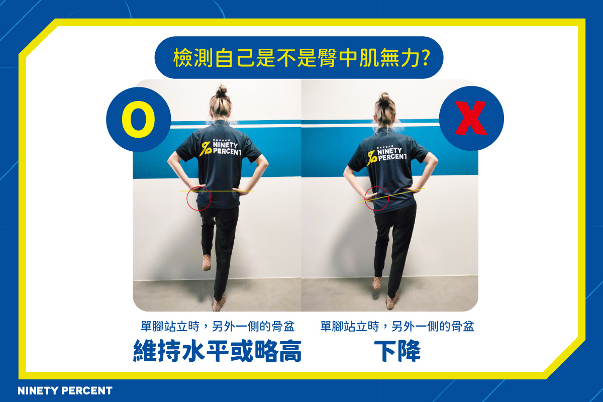 臀中肌在哪裡-臀中肌-臀中肌無力