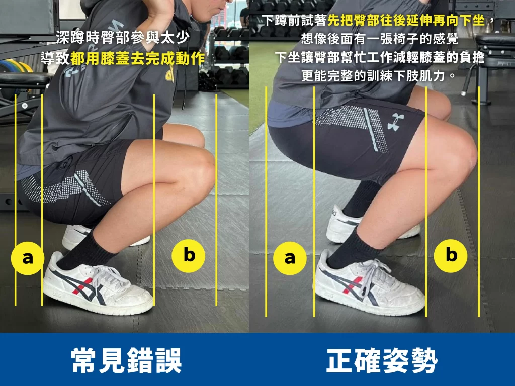 深蹲-深蹲站距-深蹲膝蓋痛-深蹲正確姿勢
